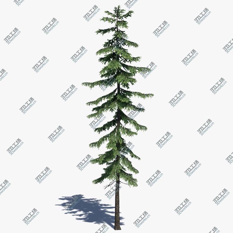 images/goods_img/2021040232/3D Pine Tree Pack 01/5.jpg